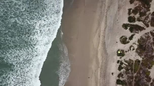 Ovanifrån och pan av en strand med surfing, vågor och sanddyner — Stockvideo