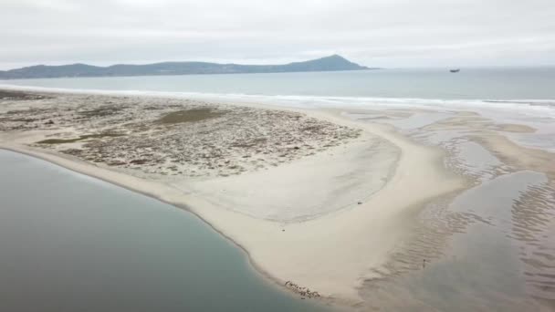 Widok Lotu Ptaka Ujście Rzeki Ensenada Estero — Wideo stockowe