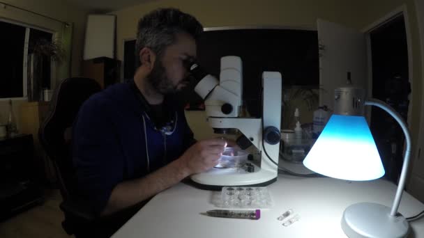 Biolog Undersöker Insektsprover Natten — Stockvideo