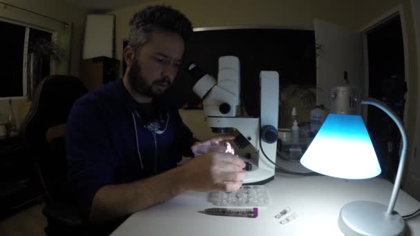 Biólogo Examinando Muestras Insectos Por Noche — Vídeo de stock
