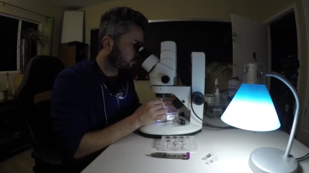 Biologiste Examinant Des Échantillons Insectes Nuit — Video