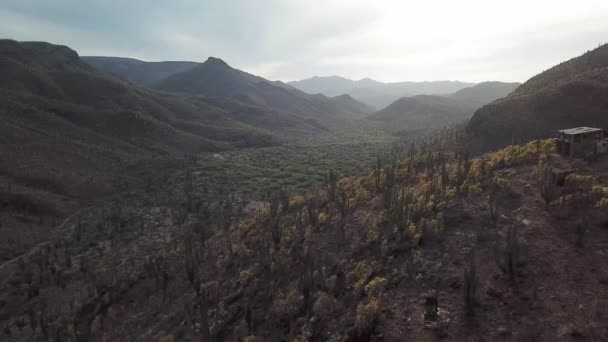 Unieke Beelden Van Catavina Woestijn Van Mexico Luchtfoto Bij Dageraad — Stockvideo