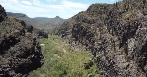 沙漠绿色山谷中引人注目的空中入口 — 图库视频影像