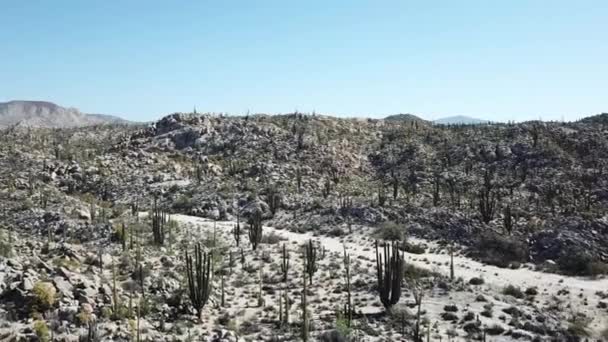 Pintura Rupestre Paisaje Rico Baja California — Vídeo de stock