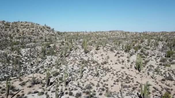 Oprijzen Luchtfoto Van Mexicaanse Woestijn Van Catavina — Stockvideo