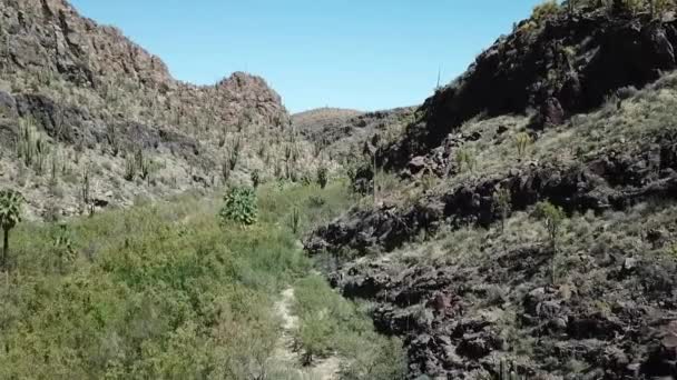 Zdjęcie Lotnicze Zielonej Doliny Meksykańskiej Pustyni Catavina — Wideo stockowe