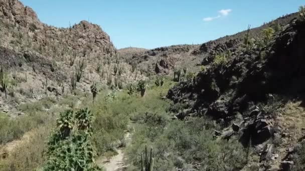 Valle Seco Del Río Con Vegetación Verde Árido Paisaje Rocoso — Vídeos de Stock