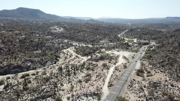 Autopista Ocupada Cruzando Desierto Cactus — Vídeo de stock