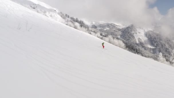 Skidåkare ridning freeride på skida från snöig sluttning i vinter fjälltallskog — Stockvideo