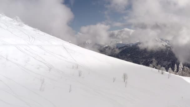 Skidåkare ridning freeride på skida från snöig sluttning på vintern berg antenn utsikt — Stockvideo