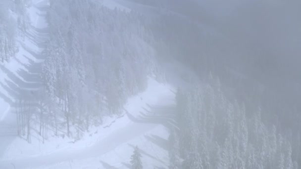 Lucht uitzicht skiër paardrijden op de skipiste van de berghelling in de winter resort — Stockvideo