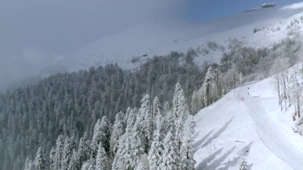 Barrskog täckt med hjorfrost och snö på vintern resort sluttning — Stockvideo