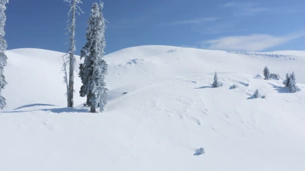 Snowboardåkare kör på snöskoter på vintern berg höglandet på vinterdagen — Stockvideo