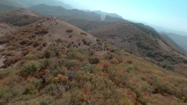 Highlands montanha coberto arbustos coloridos de drone fpv. Biciclista andar de bicicleta passeios para fora da floresta no esporte mtb bicicleta no caminho offroad em viagem de montanha. Motociclista vista aérea cinematográfica. — Vídeo de Stock