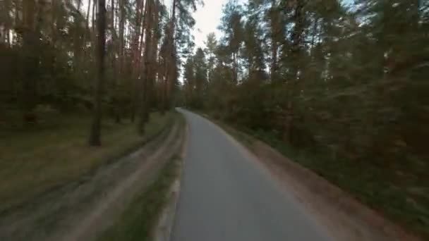 Dron Fpv latający do tyłu nad wąską asfaltową drogą przez las. Fotografowanie lotnicze drogi samochodowej na wsi wśród sosnowego gaju letniego. — Wideo stockowe