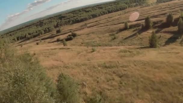 Drone sportivo che sorvola la cima degli alberi e prato verde nel paesaggio rurale. Sparatoria aerea da drone da corsa su boschi verdi sul campo in campagna estiva. — Video Stock