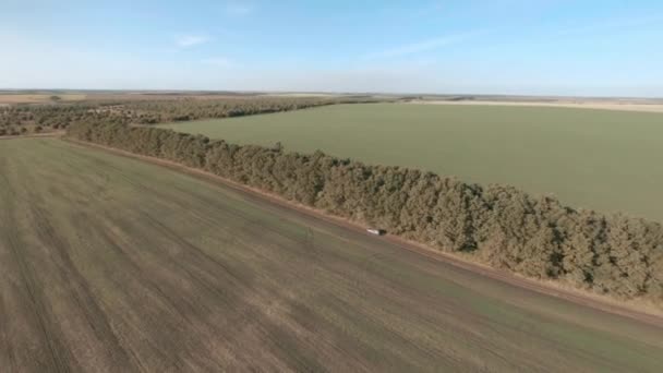 Fpv sport drone avec caméra d'action suit SUV hors route voiture rapide poussière le long de la route terrestre vide entre le champ vert et la forêt sous le ciel bleu fpv sport drone premier point cinématique vue poursuite — Video