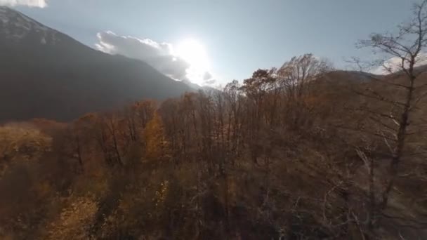 Krasnaya Polyana 'daki güneşli sonbahar ağaçlarının ve tatil köylerinin üzerinde uçan panoramik hava manzarası. Spor fpv drone 'ları ile modern turistik alanların güzel manzarasını çekiyoruz. — Stok video