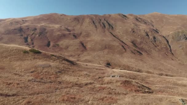 Vista panorámica aérea desde arriba de dos mujeres activas que van al valle de la zona montañosa de la montaña. Senderista mujer disfrutando de viajes aventura trekking sensación libertad e inspiración 4k — Vídeo de stock