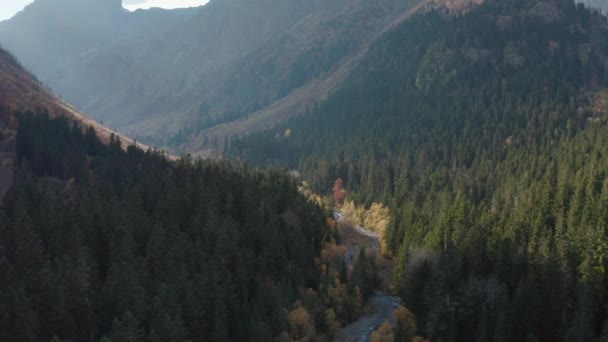 Αεροφωτογραφία από πάνω φαράγγι με ρέοντα ορεινό ποτάμι στο πανέμορφο τοπίο της κοιλάδας. Πτήση πάνω από καταπληκτικό περιβάλλον τοπίο ρεύμα με τα δέντρα ροκ δάσος κίτρινα φυτά και σύννεφα ουρανό — Αρχείο Βίντεο