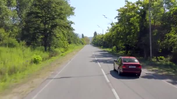 Aeronave tiro vermelho automóvel equitação no asfalto estrada com verde árvores naturais tráfego rural — Vídeo de Stock