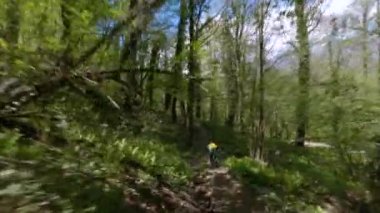 Krasnaya Polyana 'da yeşil çimen bitkisiyle bisiklete binen havadan çekilen erkek.