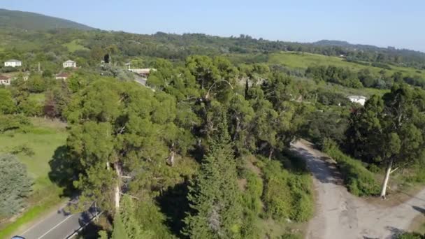 Tiro de helicóptero sobrevoando árvores verdes fofas campo com transporte rodoviário de tráfego — Vídeo de Stock