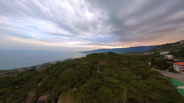 Shooting from sports fpv drone flying over dramatic gray sky horizont les treetops top view — Stock video