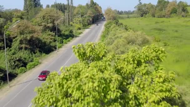 자연 그대로 의나무들이 있는 아스팔트 도로 위를 달리고 있는 붉은 자동차를 공중에서 쏘아 올렸다 — 비디오