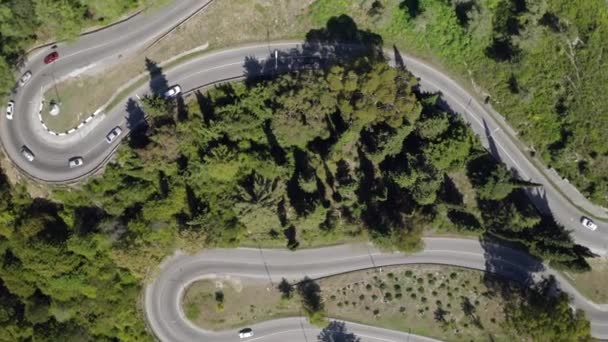Aerial top shot SUV automobile driving on serpentine road at dense green tree and forest nature — Stock Video