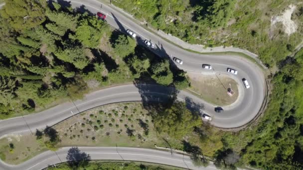 Aerial top shot black SUV automobile driving on serpentine road at dense green tree and forest nature — Stock Video