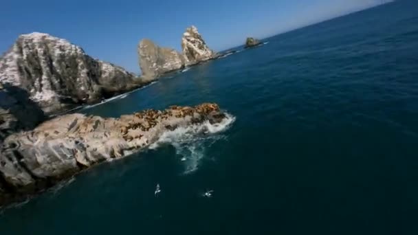 Zeeleeuwen liggen op grote rots rookkerij tussen blauw zeewater — Stockvideo