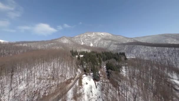 Arbres nus bruns sur sol enneigé blanc dans les hautes terres ensoleillées — Video