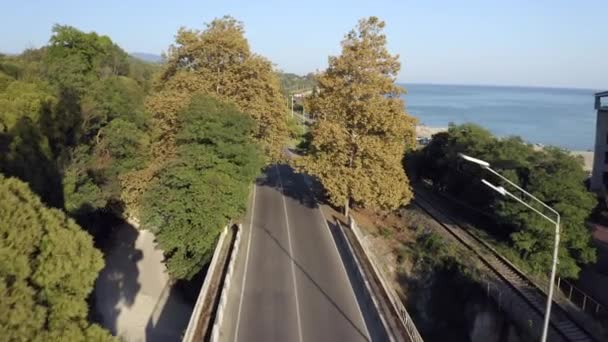Samochody jadą wzdłuż drogi brzegowej między lasem a morzem — Wideo stockowe