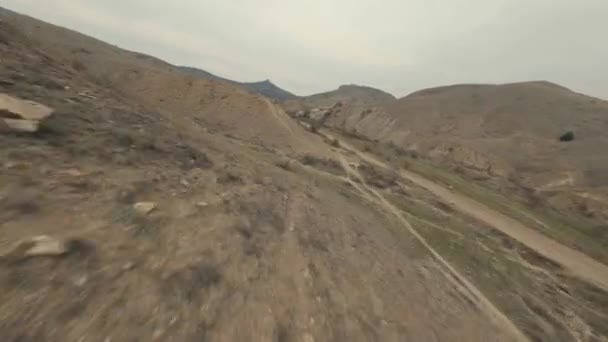 Canyon rochoso marrom com estrada e cavalos selvagens na costa — Vídeo de Stock