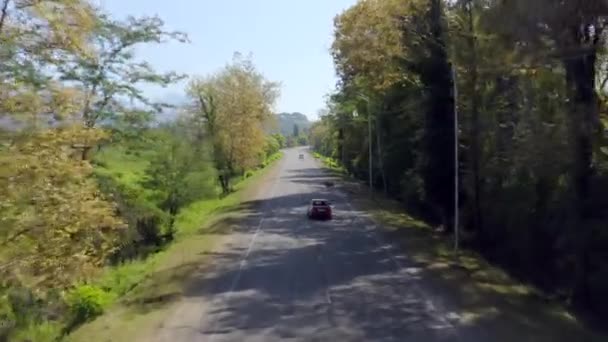 Czerwony samochód omija krowę na drodze jedzie szarym asfaltem — Wideo stockowe