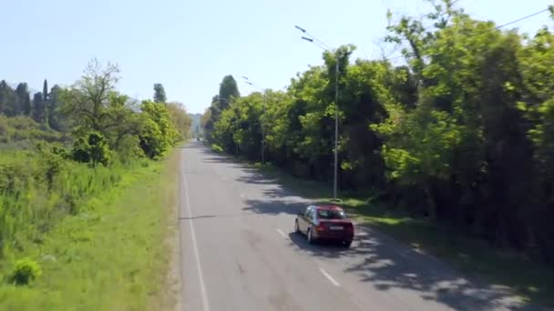 Passeios de automóvel vermelho ao longo da estrada de asfalto cinza entre árvores — Vídeo de Stock