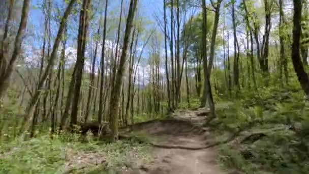 Mtb motociclista em passeios de capacete ao longo de pista de descida extrema — Vídeo de Stock