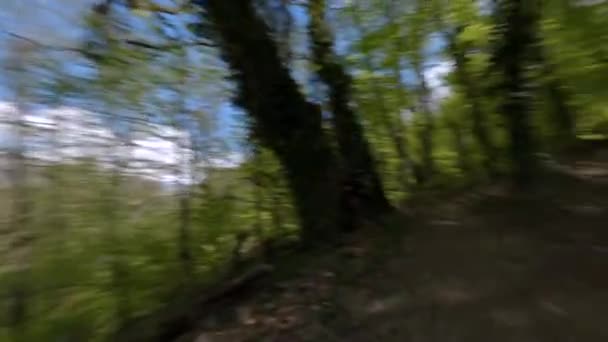 Motociclista se encuentra en la pista entre el bosque montañoso en bicicleta-parque — Vídeos de Stock