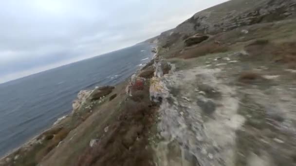 Campos de hierba seca y caminos terrestres en la parte superior de la costa en fpv drone — Vídeo de stock