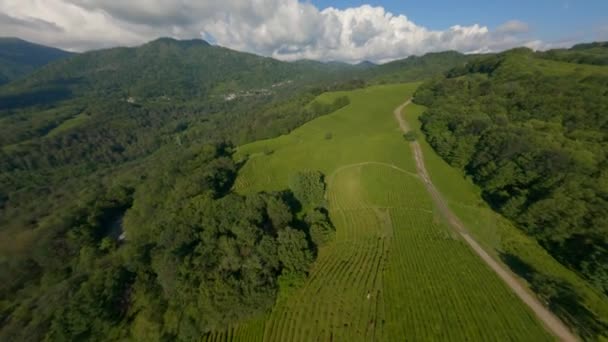 Rapide vol rotation aérienne fpv shot épique nature vallée paysage avec montagne terrain vallonné ciel bleu — Video