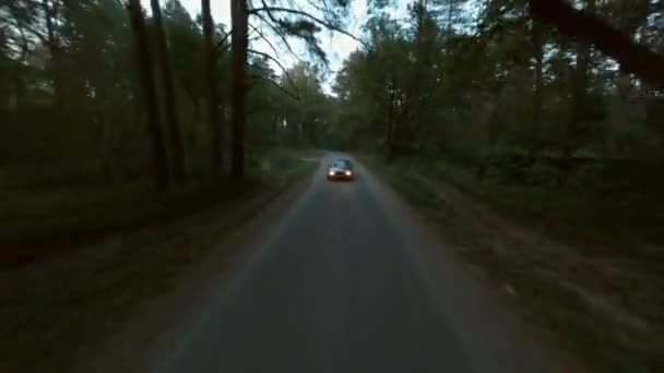 秋天黄昏时分，一辆黑色跑车在空旷狭窄的乡间路上开着大灯，穿过老松树林，第一点看电影，从飞驰的无人驾驶飞机上拍了下来 — 图库视频影像