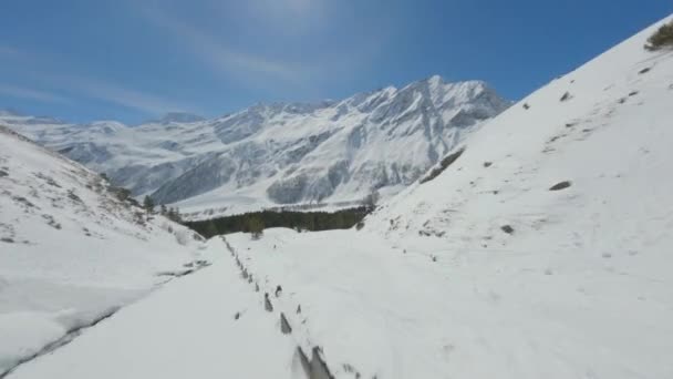 Vista aerea al piano di sopra da sopra neve selvaggio vicolo circondato da paesaggio invernale — Video Stock