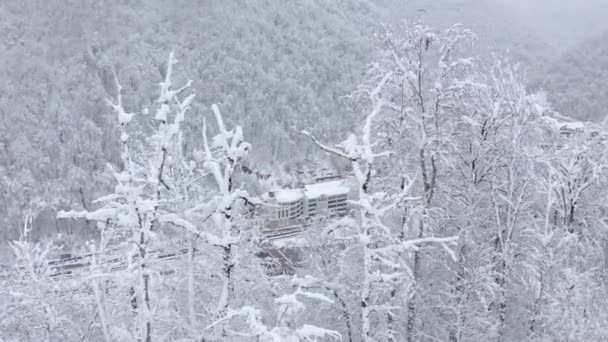 Rundumblick aus der Luft auf die Landschaft des Skigebiets, umgeben von Bergen und schneebedeckten Bäumen — Stockvideo