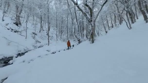 Повітряний fpv вигляд польоту безпілотника поблизу вузького гірського струмка швидкого потоку руху на сніговому лісі дерева — стокове відео