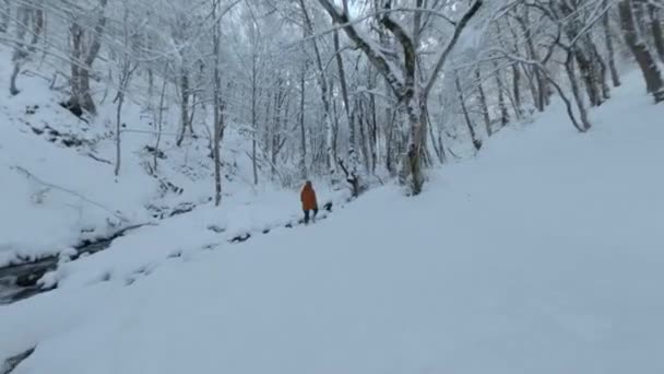 Avión aéreo fpv avión no tripulado vista vuelo cerca de arroyo de montaña estrecho rápido movimiento del arroyo en el árbol del bosque de nieve — Vídeo de stock