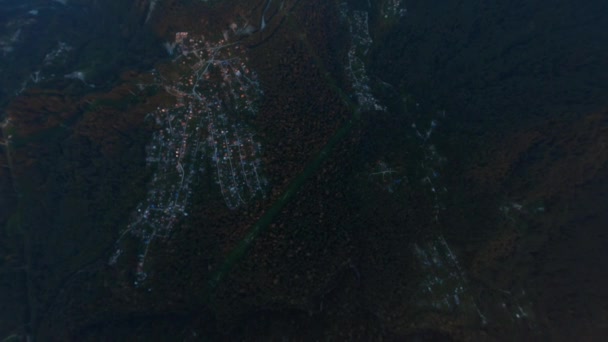 Aerial fpv体育无人机俯瞰森林树木，照亮乡村电影自然 — 图库视频影像