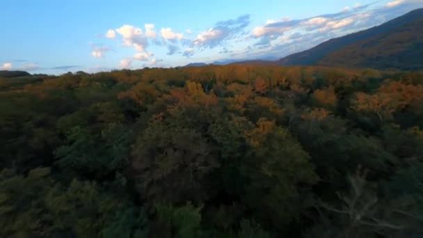 快速飞越仙境山谷林地五彩斑斓的树梢风景的天空日出 — 图库视频影像