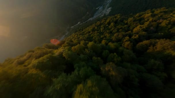 Aerial fpv sport drone widok z góry szybki nurkowanie w pobliżu epickiej doliny leśnej kanion górzysty teren — Wideo stockowe
