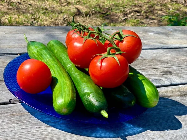 Tomates Vermelhos Pepinos Uma Chapa Azul Uma Mesa Madeira Cinza — Fotografia de Stock